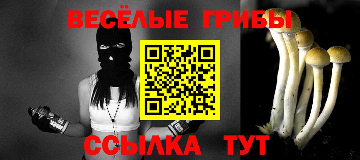 Галлюциногенные грибы Psilocybine cubensis  Галлюциногенные грибы мухоморы  Новодвинск  Вход с VPN 